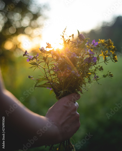 Northern Flowers photo