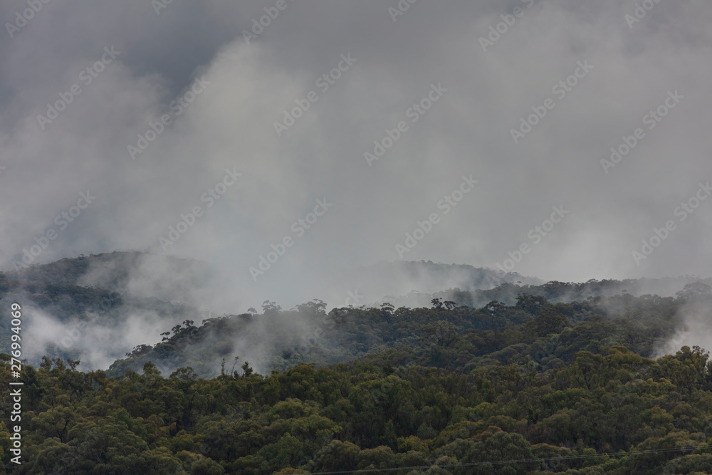 A severe weather mass of clouds over a gully filled with gum trees