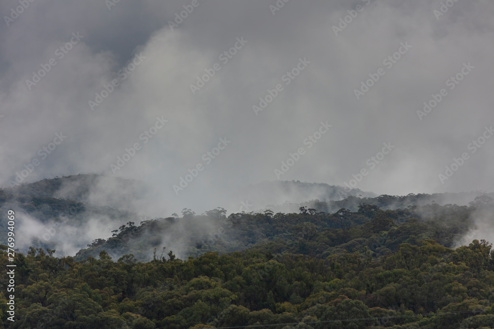 A severe weather mass of clouds over a gully filled with gum trees A severe weather mass of clouds over a gully filled with gum trees