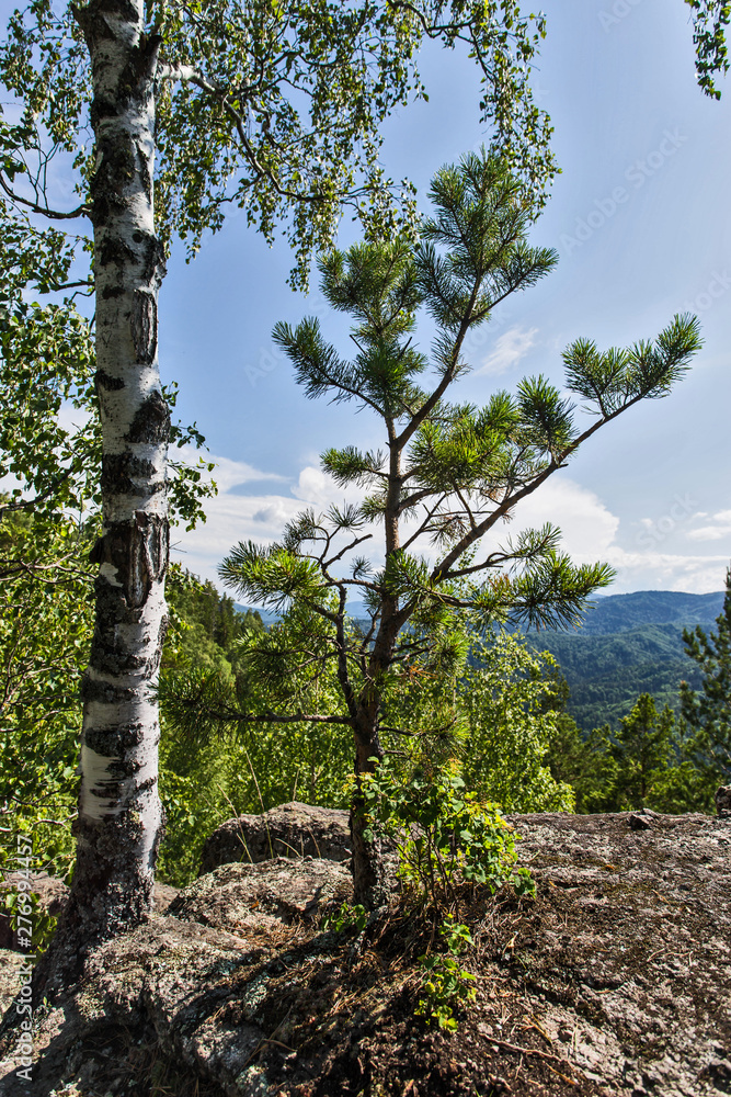 Fototapeta premium summer landscape with mountains and clouds