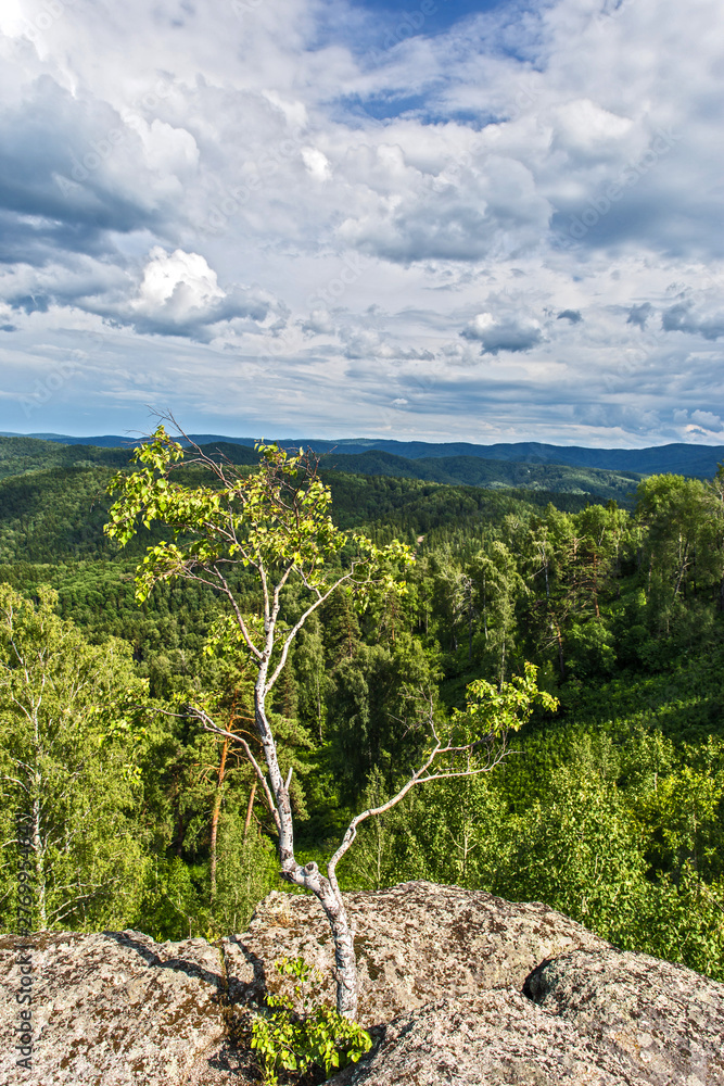 Obraz premium summer landscape with mountains and clouds