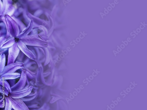 abstract flower background illustration