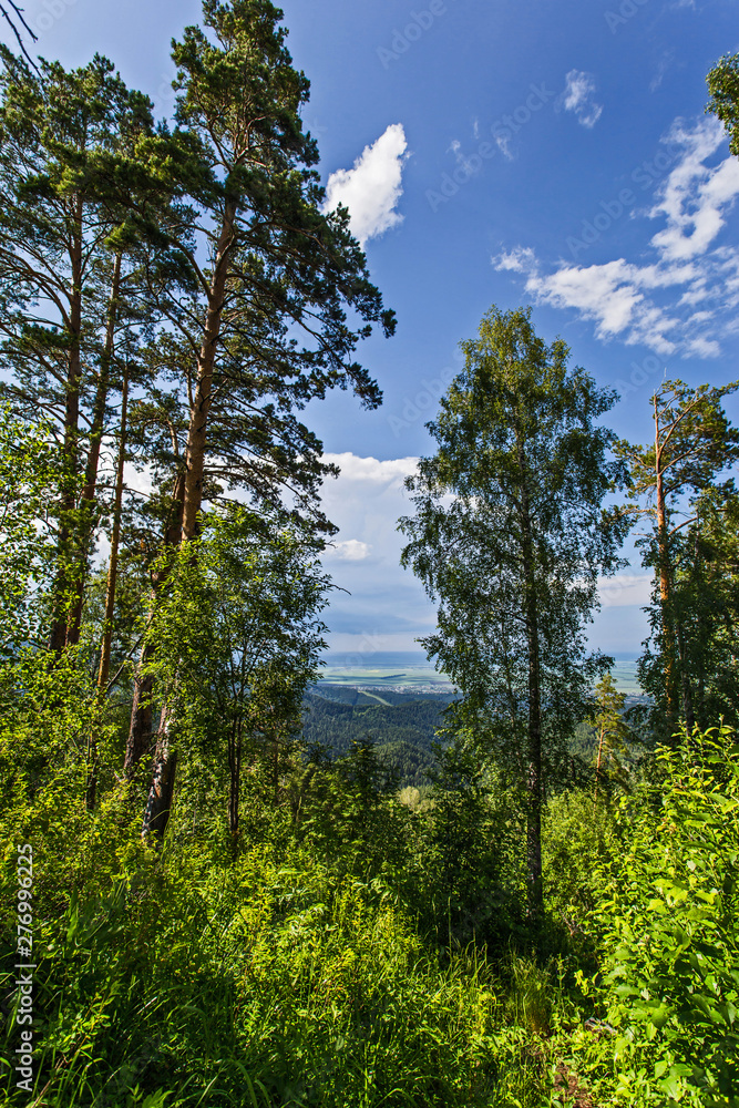 Obraz premium summer landscape with mountains and clouds