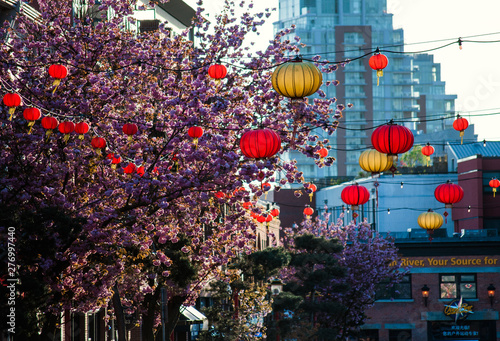 Victoria  BC  Canada Chinatown lantern decorations on a street with cherry blossom trees in full bloom.