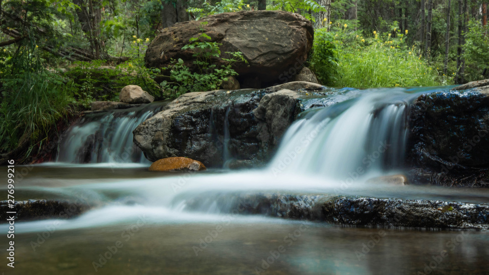 Obraz premium Waterfall in Forest
