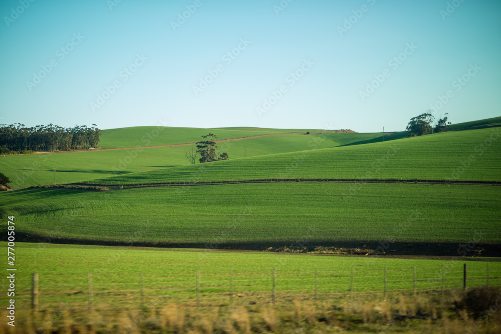 Landscape view of green hills with clear sky in background