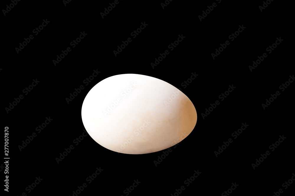 An egg isolated on black background An egg isolated on black background