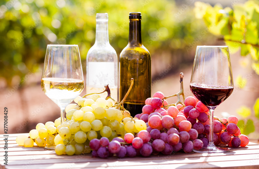 still life with glasses of red and white wine and grapes in field of vineyard