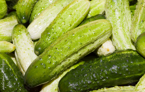 washed green ripe cucumbers