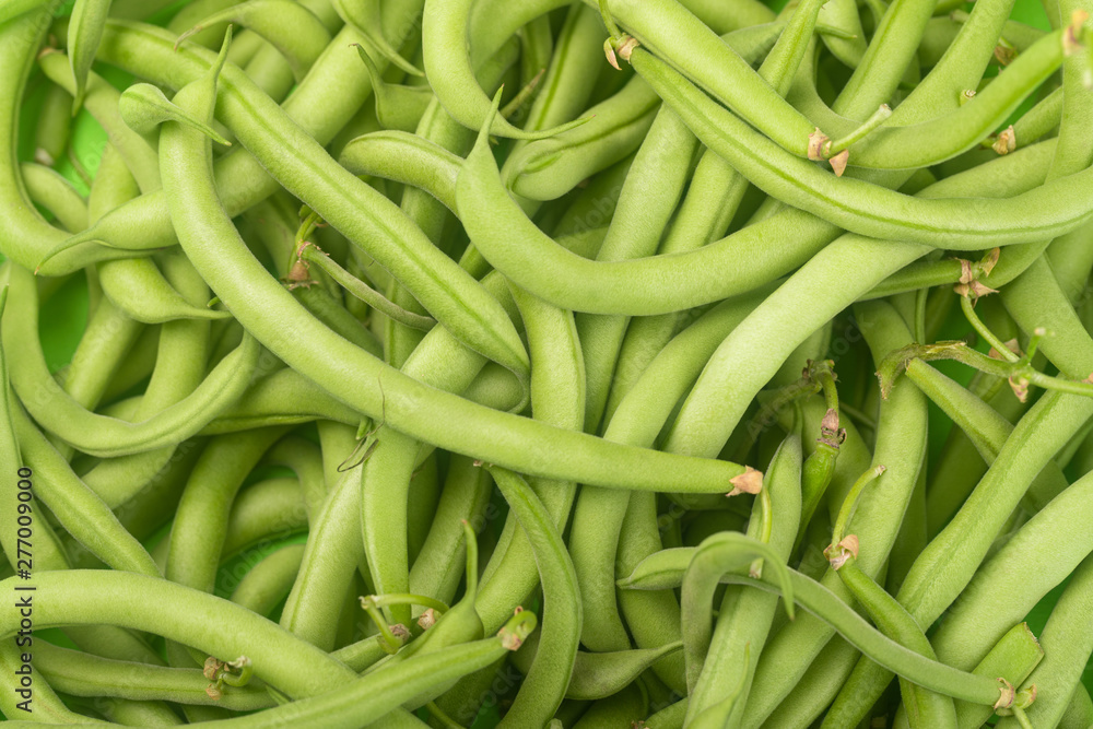 Freshly cropped green beans, vegetarian meals, green beans background Freshly cropped green beans, vegetarian meals, green beans background