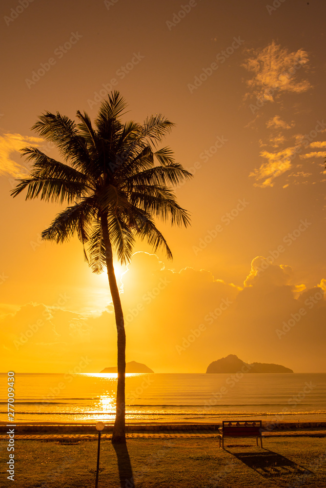 Silhouette Coconut Palm Tree with one bench at the beach