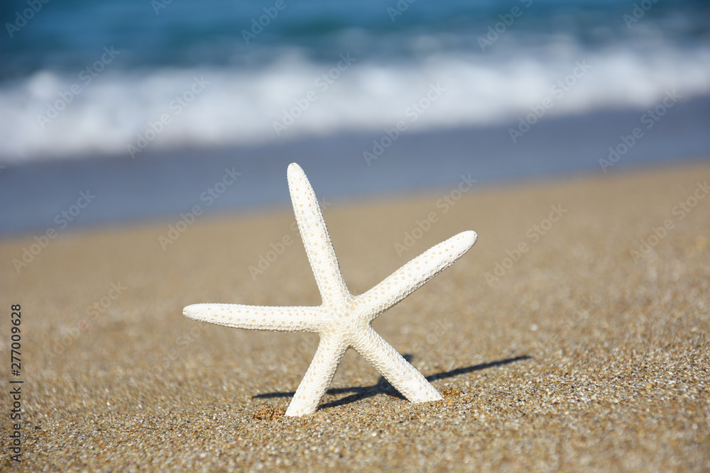 Starfish on sandy beach. Travel and summer holidays concept, free space for text Starfish on sandy beach. Travel and summer holidays concept, free space for text