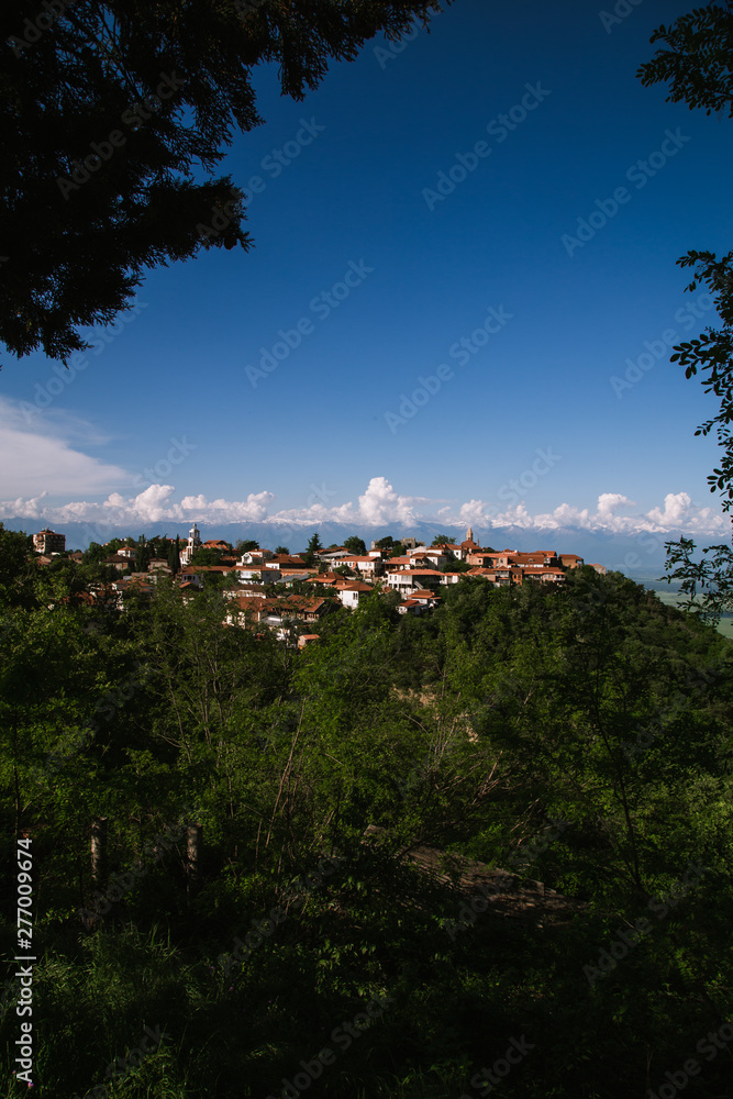 Signagi landscape in the Georgia