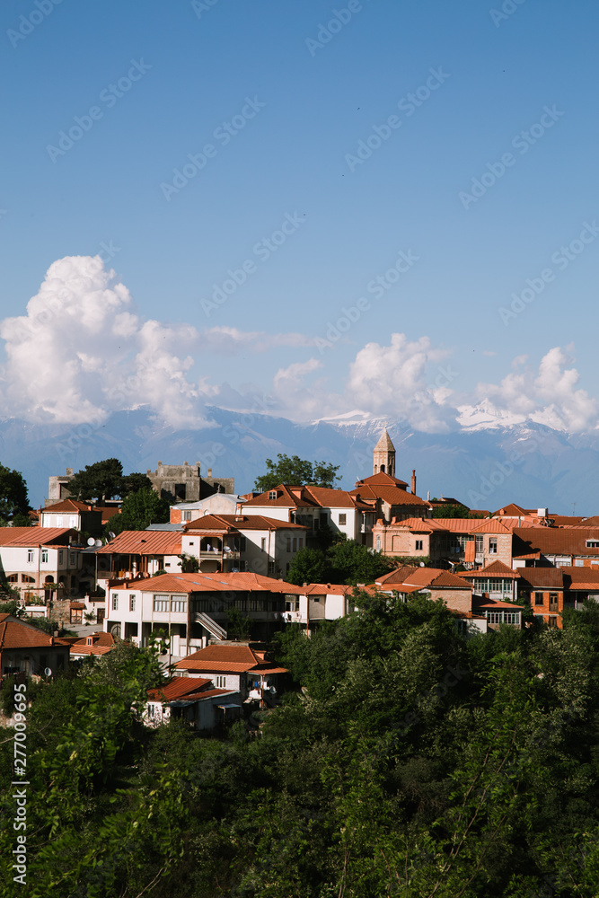 Fototapeta premium Signagi landscape in the Georgia