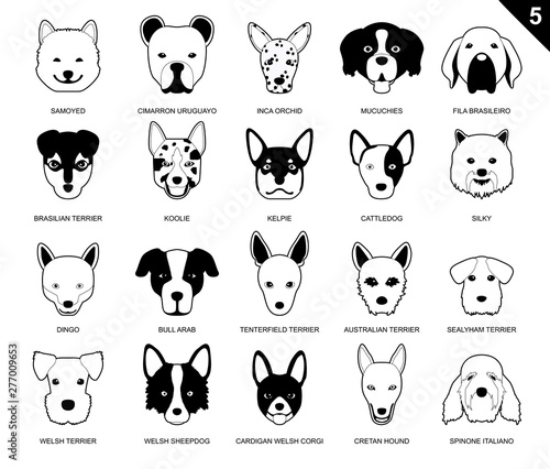 Dog Faces Stroke Icon Monochrome Cartoon 5 Samoyed Set photo