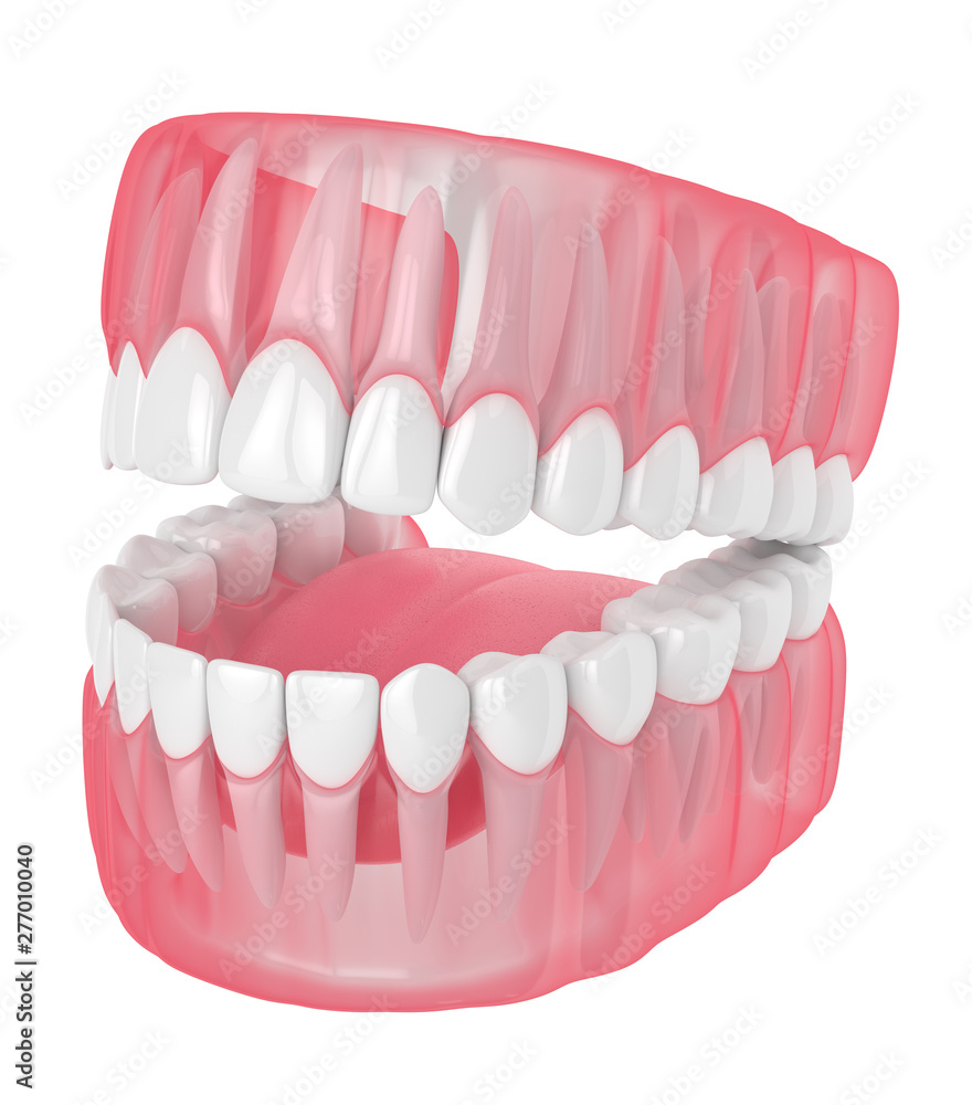 Obraz premium 3d render of jaw with teeth over white