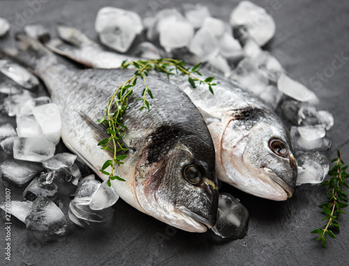 Canvas Print Fresh fish dorado