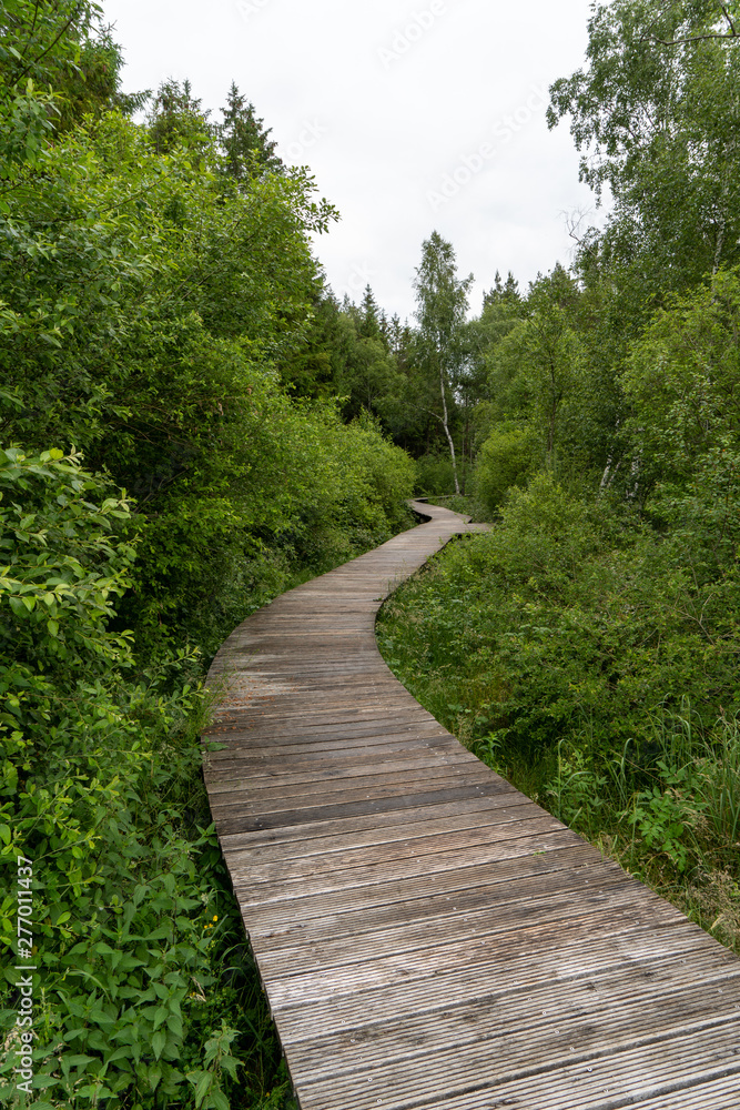 Obraz premium Pfrunger Ried bei Ostrach