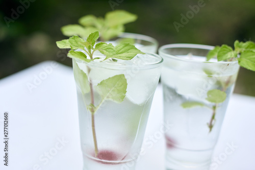 Summer hot fresh drink with mint in glass on white green grey background © Alexandra Grua