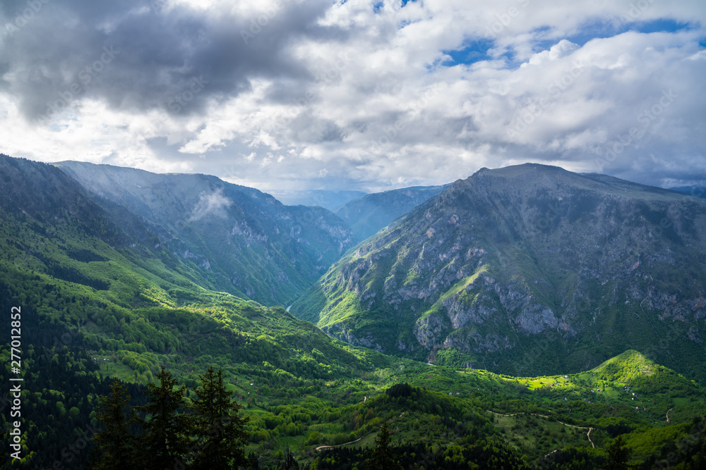 Montenegro, Spectacular tara river canyon nature landscape of green forested giant mountainside crossed by tara river in magical light after rain in durmitor national park near zabljak