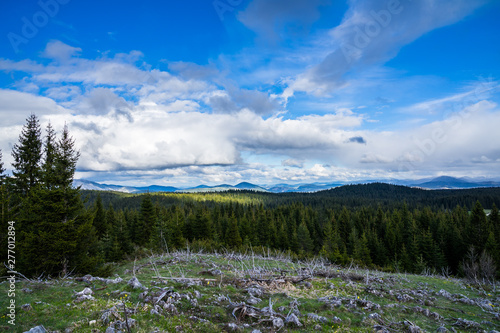 Montenegro, Endless view south from mount curevac over green trees of forested nature landscape in highlands of durmitor national park near zabljak at sunset photo