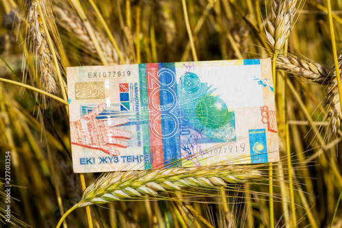 one beautiful new kazakhstan banknote photo