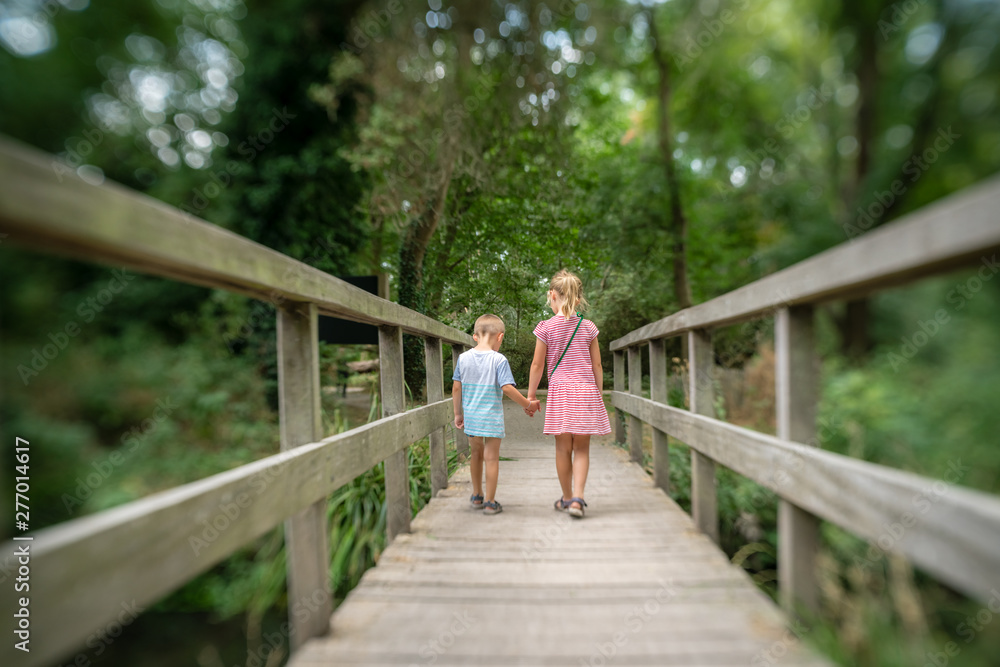 Brother and sister crossing small wooden bridge