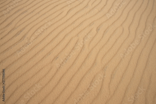 texture or background of desert dune sand © irontrybex
