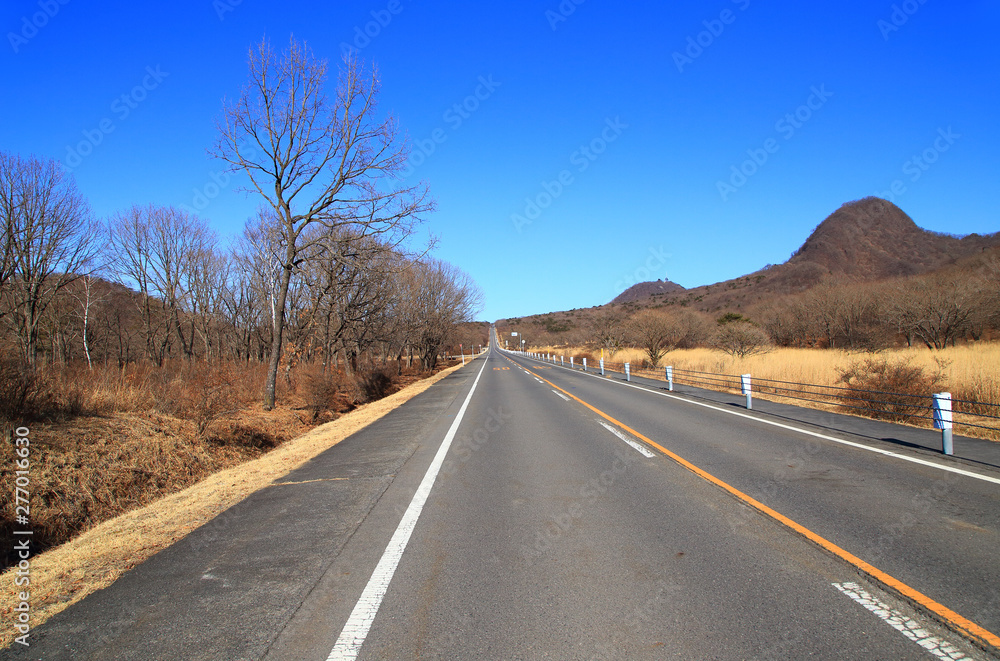 Fototapeta premium Straight asphalt road