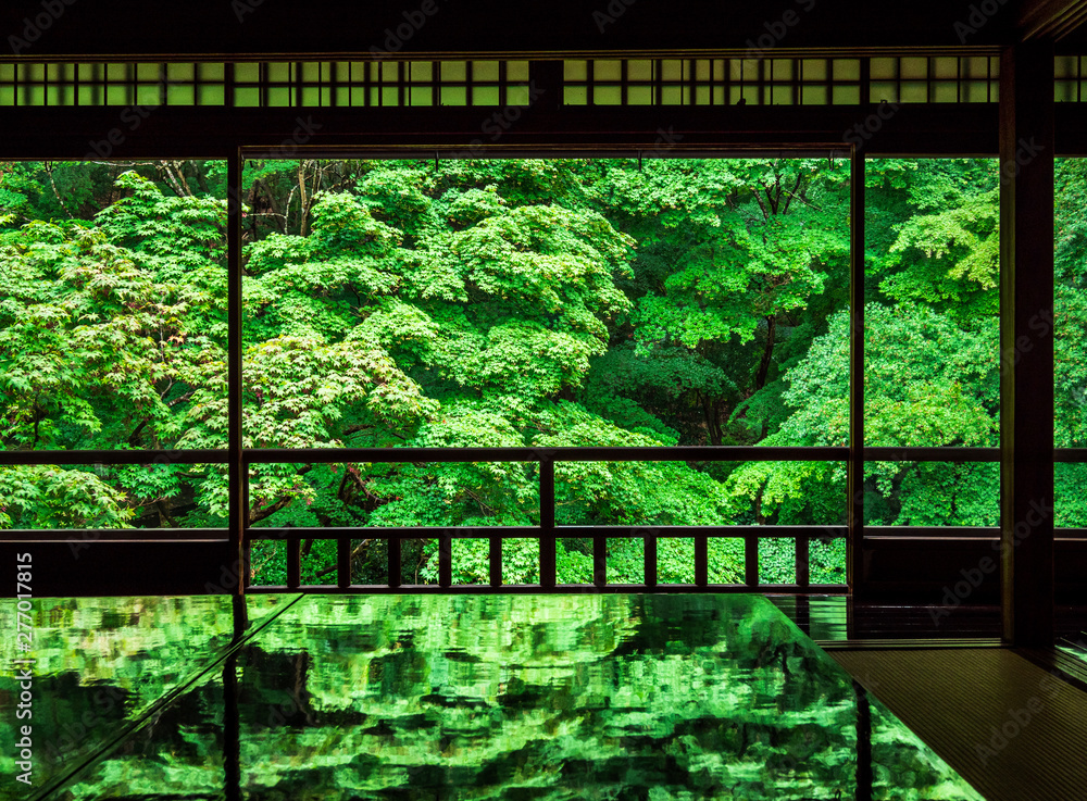 京都 瑠璃光院の青もみじ
