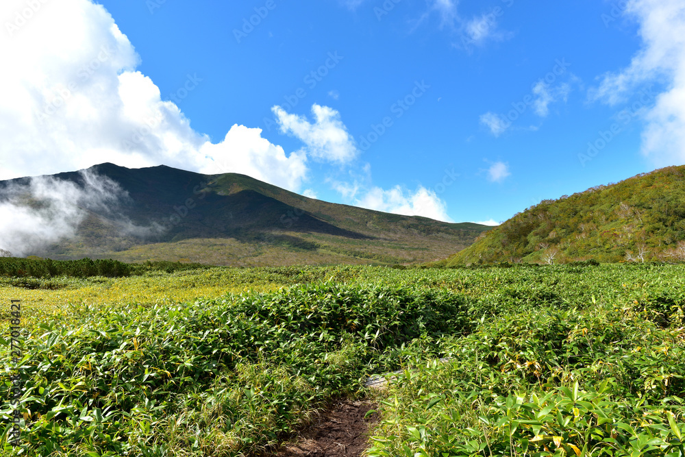 知床　羅臼湖周辺の風景