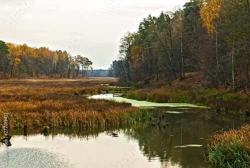 autumn landscape with river and trees