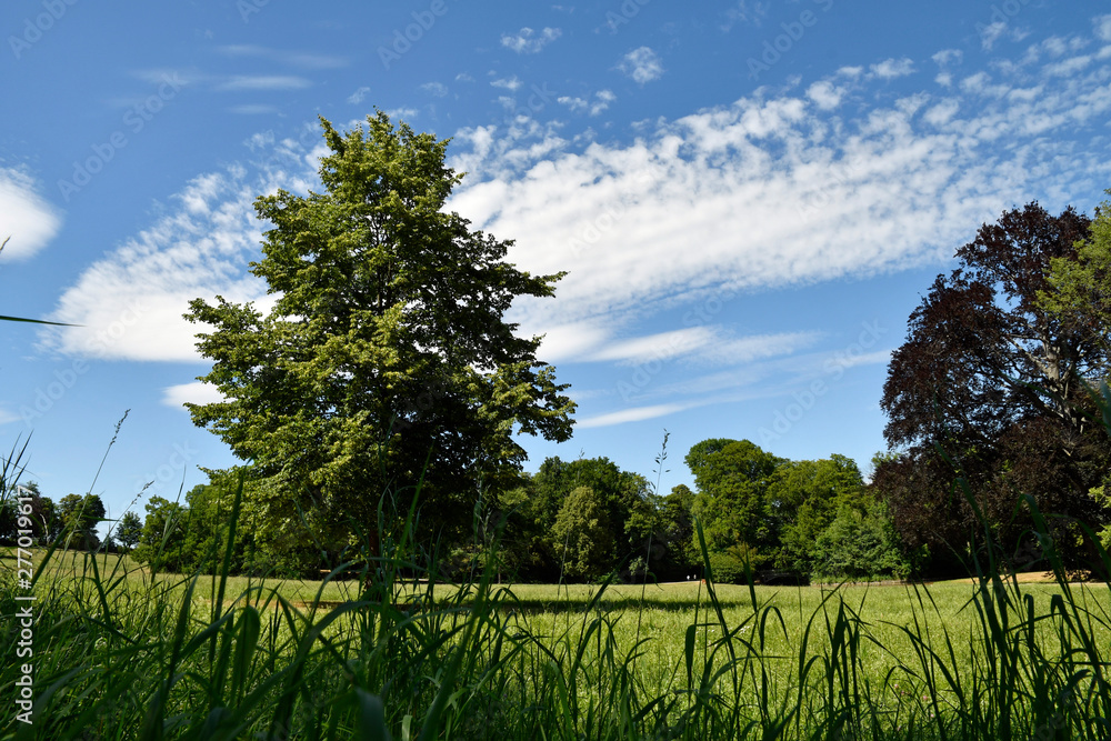 schlosspark worms-herrnsheim schlosspark worms-herrnsheim