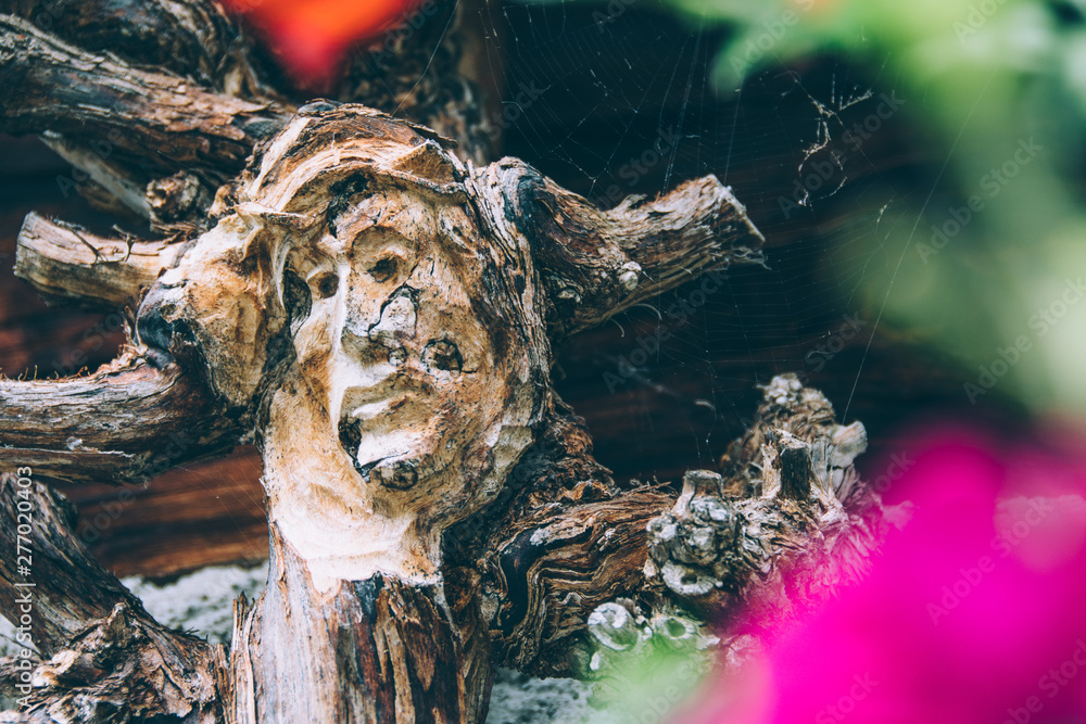 Face of Jesus Christ roughly carved in a tree