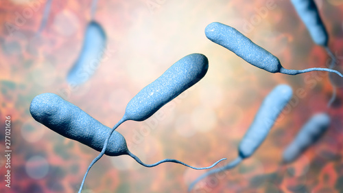 Bacterium Vibrio vulnificus, 3D illustration. The causative agent of serious seafood-related infections and infected wound after swimming in warm sea water photo