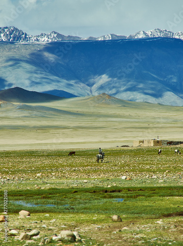 Mongolian Altai. Scenic valley on the background of the snowcapped mountains.