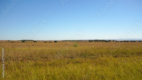 Fotografija Sun shines on flat grassland savanna landscape in Andranovory region of Madagasc