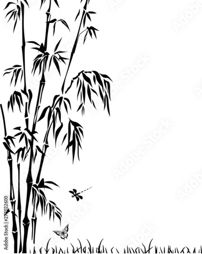 Fototapeta Naklejka Na Ścianę i Meble -  grass, bamboo, leaves, vector, tree