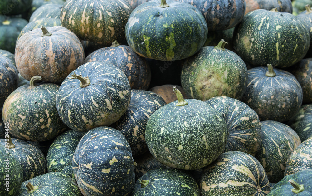 green pumpkin at the market green pumpkin at the market