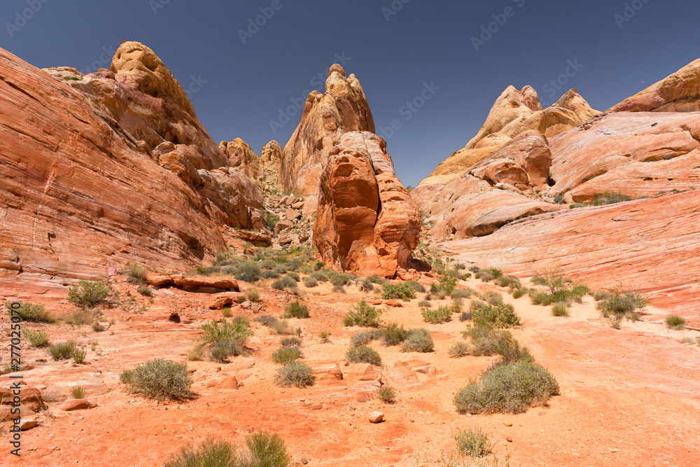 Fototapeta premium Valley of fire State Park Nevada USA