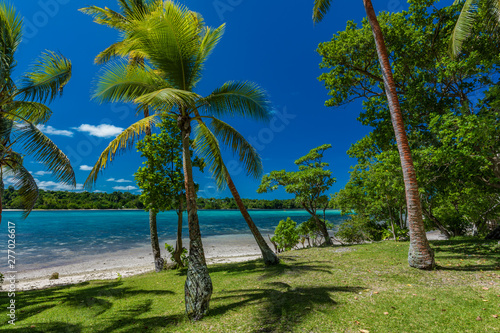 Palm trees on a tropical beach, Vanuatu, Erakor Island, Efate photo