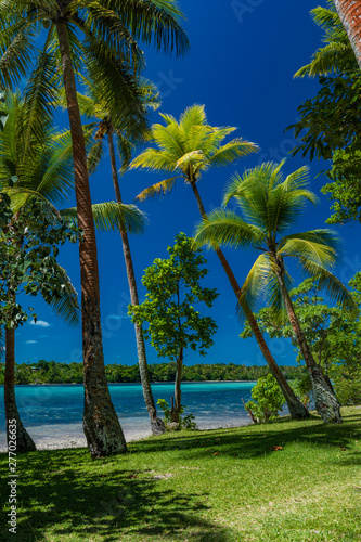 Palm trees on a tropical beach  Vanuatu  Erakor Island  Efate