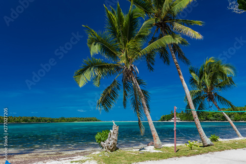 Palm trees on a tropical beach, Vanuatu, Erakor Island, Efate photo