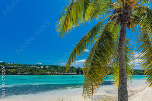 Palm trees on a tropical beach  Vanuatu  Erakor Island  Efate