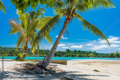 Palm trees on a tropical beach, Vanuatu, Erakor Island, Efate photo