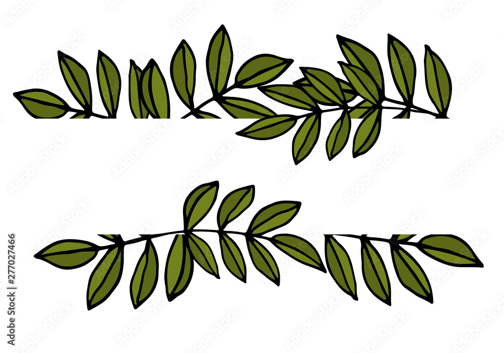 leaf frame isolated on white background leaf frame isolated on white background