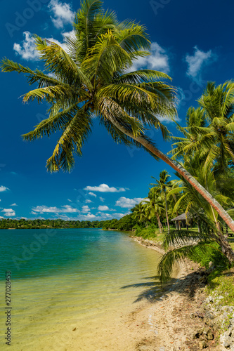 Fototapeta Naklejka Na Ścianę i Meble -  Tropical resort destination in Port Vila, Efate Island, Vanuatu, beach and palm trees