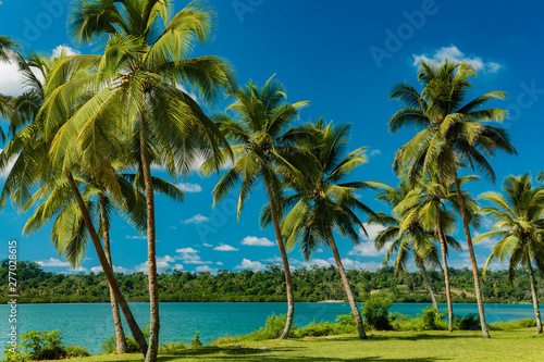 Tropical resort destination in Port Vila, Efate Island, Vanuatu, beach and palm trees © Martin Valigursky