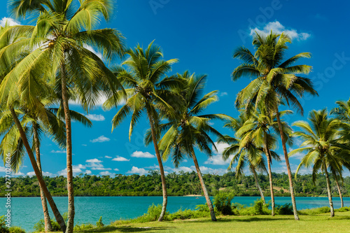 Tropical resort destination in Port Vila, Efate Island, Vanuatu, beach and palm trees © Martin Valigursky