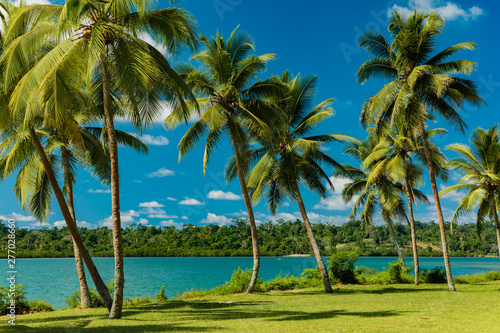 Tropical resort destination in Port Vila  Efate Island  Vanuatu  beach and palm trees